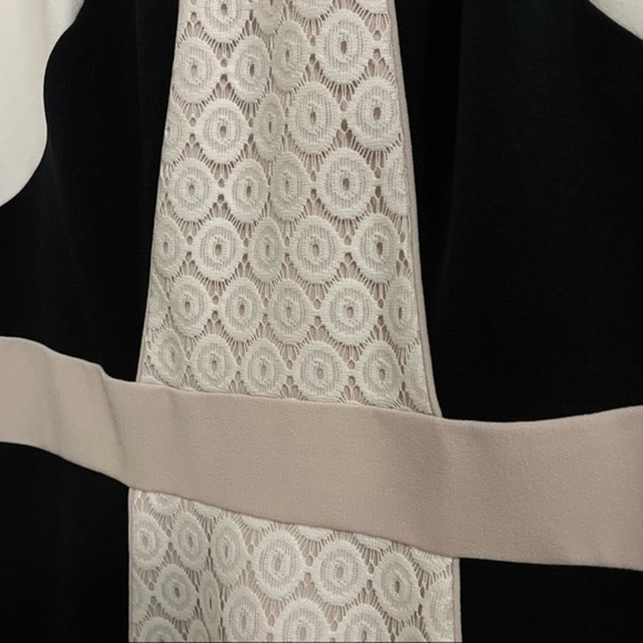 COPY - Colorblock Lace Inset Sheath Dress - Picture 3 of 5